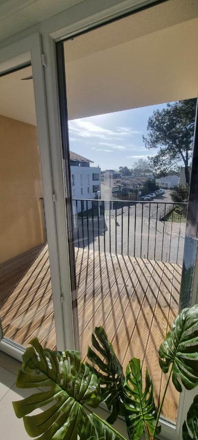 Appartement Neuf En Hypercente بيسكاروس المظهر الخارجي الصورة